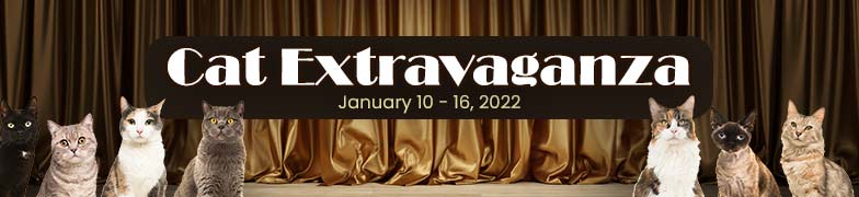 Cat Extravaganza | January 10 to 16