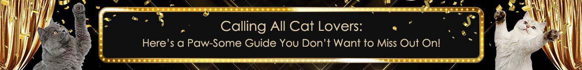 Calling All Cat Lovers: Here’s a Paw-Some Guide You Don’t Want to Miss Out On!