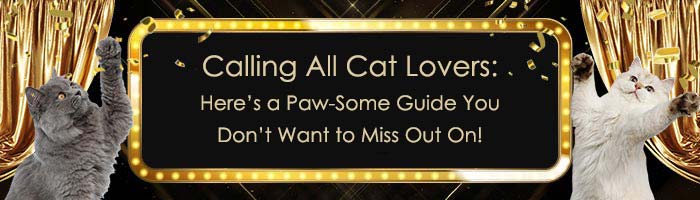 Calling All Cat Lovers: Here’s a Paw-Some Guide You Don’t Want to Miss Out On!