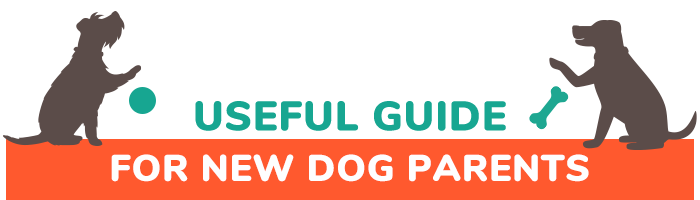 Useful Guide for New Dog Parents