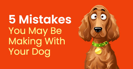 5 Mistakes You May Be Making With Your Dog