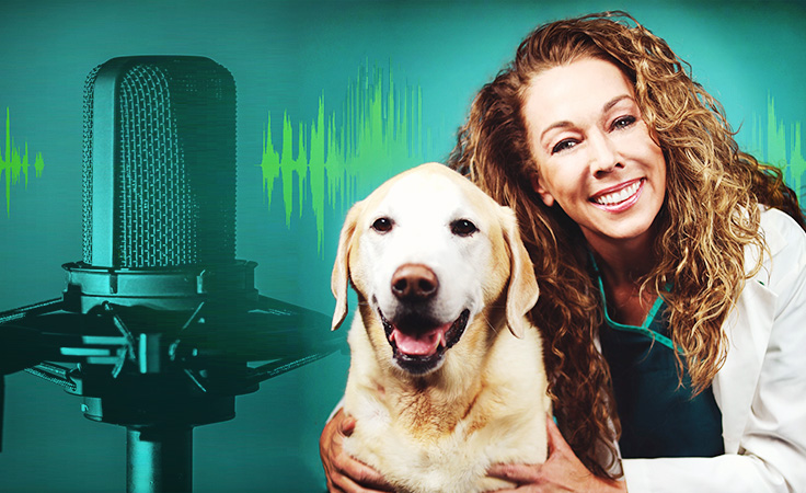 Take Control of Your Pet’s Health
