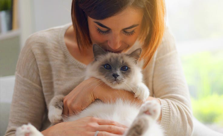 Feline Care 101