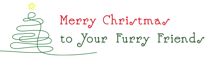 Merry Christmas With Your Family and Pets!