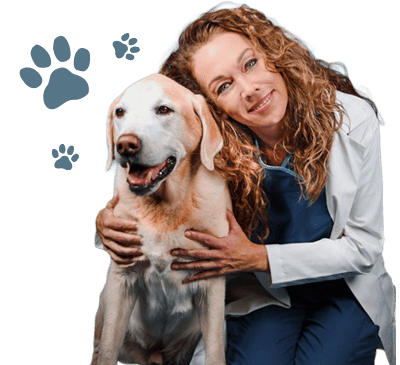 Dr. Karen Becker - Pet Digestive Headquarters