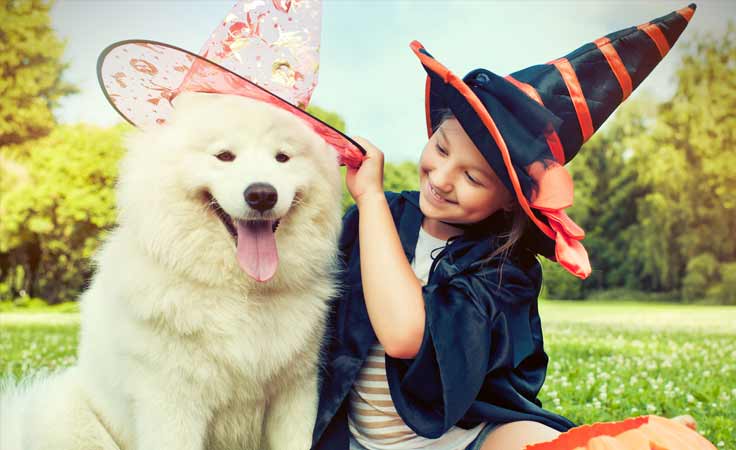 Spooky Tips on Howloween