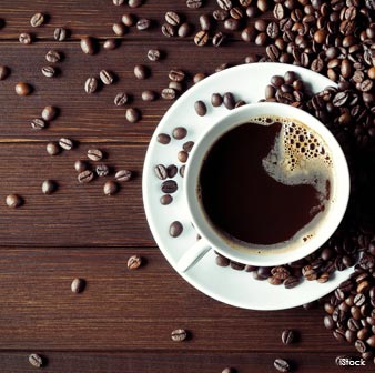 caffeine toxic bird
