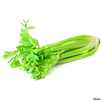 Celery Vegetable