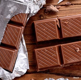 chocolate toxic to bird