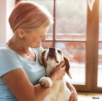 dog human bond