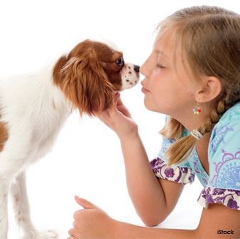 facts about dog nose