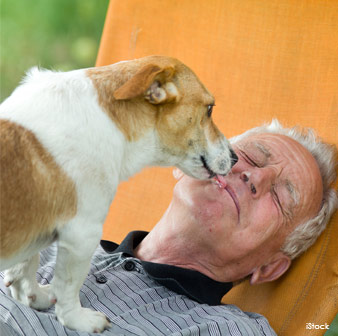 dog knows how you feel