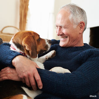 human and dogs' memorable experience