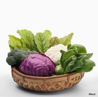 Dark Leafy Greens
