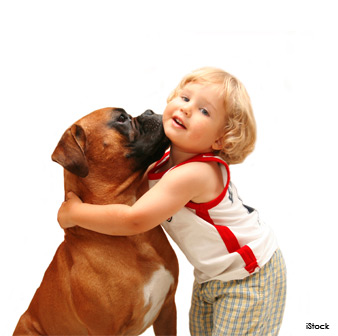 loving boxer