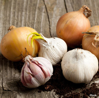 onions and garlic