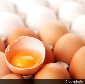 Huevos Orgánicos Alimentados con Pastura