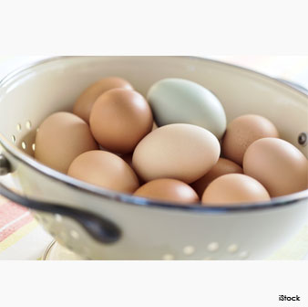 Pastured Eggs
