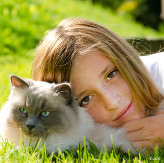 Ragdoll Personality