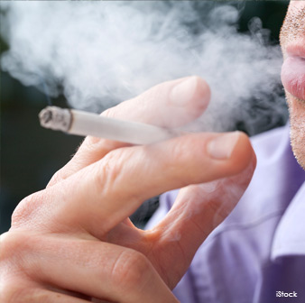 smoke aerosols toxic to birds