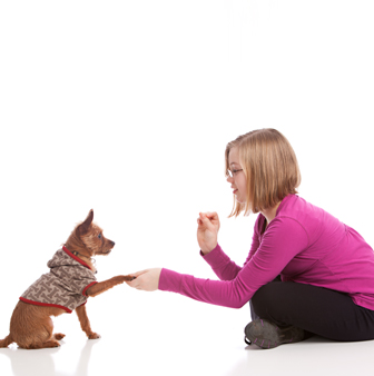 teaching dog new tricks